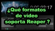 que formatos de video soporta reaper